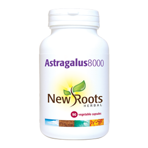 Astragalus 8000 | 500 mg | 90 Capsules
